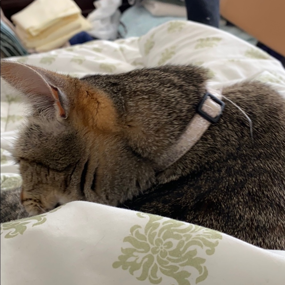 Meet your Posher, Maria